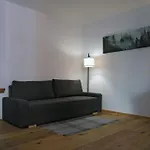 Scheffelhaus غينغنباخ